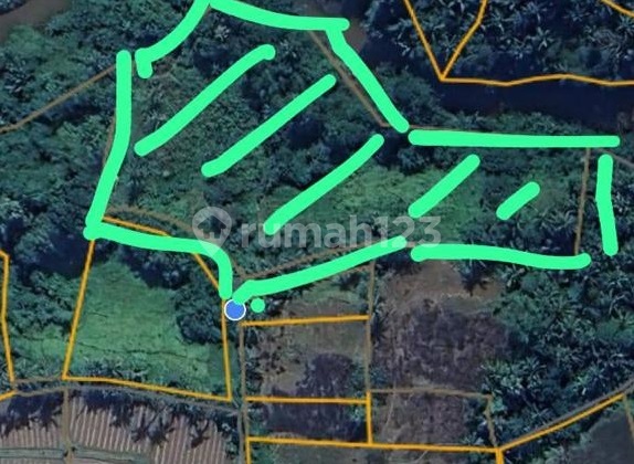 Kavling Desa Banjar Gelumpang, Sukawati, Gianyar Dekat dengan Pasar Oleh2 Kavling Desa Banjar Gelumpang, Sukawati, Gianyar Dekat dengan Pasar Oleh2