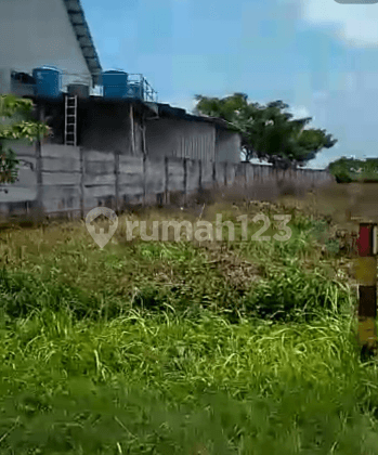 Tanah Kota Tuban Ciamik Luas Sudah SHM  4