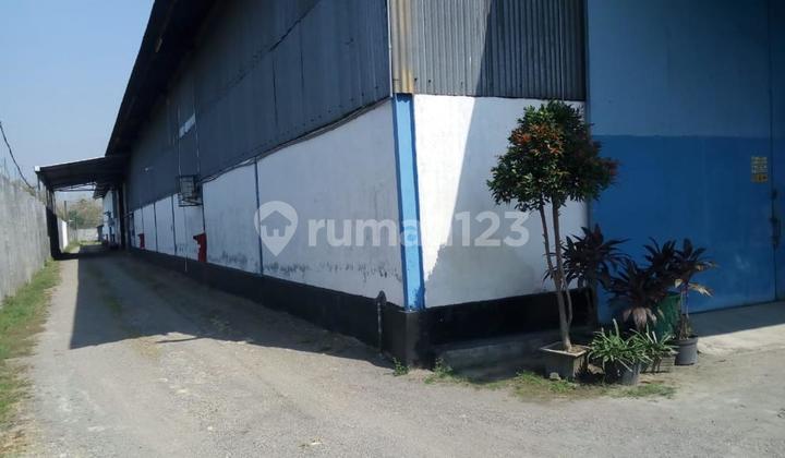 Dijual Cepat Gudang Atau Pabrik di Mojokerto Ciamik