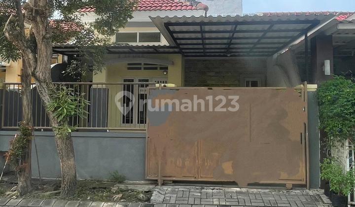 Row Jalan Lebar Strategis Rumah Citraland Bukit Palma 1
