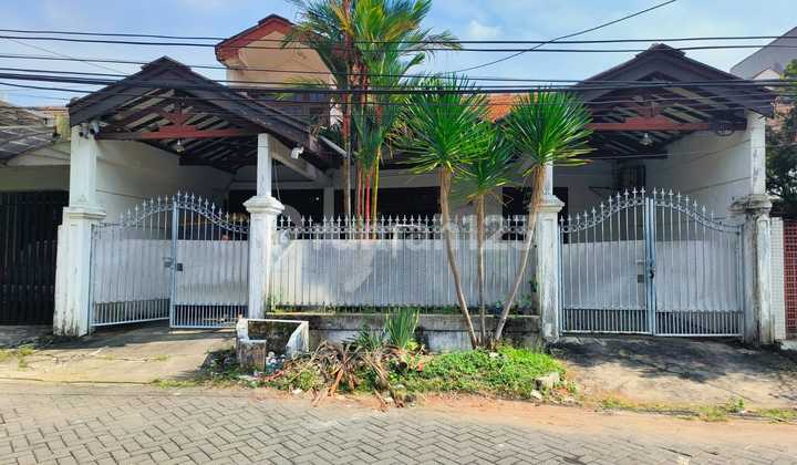 1.5 Lantai Rumah Darmo Permai Selatan di Area Strategis 1.5 Lantai Rumah Darmo Permai Selatan di Area Strategis