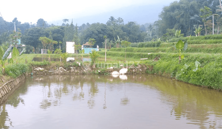 Tanah di Cianjur Desa Sakambang Kec Wanayasa (sawah dan kolam ikan) 1