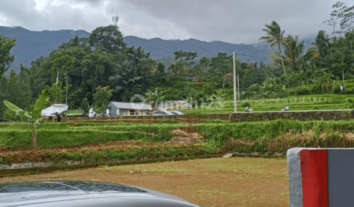 Villa Dengan Kolam di Wanayasa, Purwakarta. 2