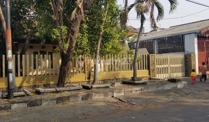 Rumah Lama Hitung Tanah Raya Tenggilis Mejoyo Dekat Ubaya  1