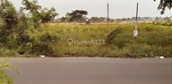 Tanah siap bangun murah bangat di di Desa karang anyar  kecamatan karang bahagia  Cikarang Bekasi Jawa Barat  1