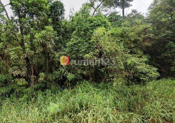 Dijual Luas Lahan Di Tanjung Pinggir Sekupang 2