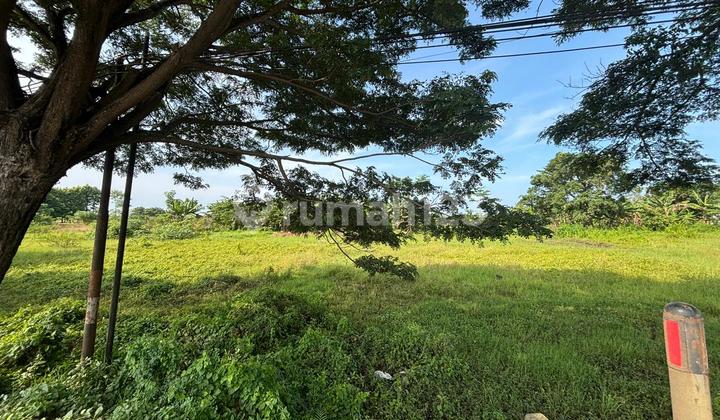 Tanah Kavling Industri di Patimban Pantura Jalan Provinsi Akses Kontainer Tanah Kavling Industri di Patimban Pantura Jalan Provinsi Akses Kontainer