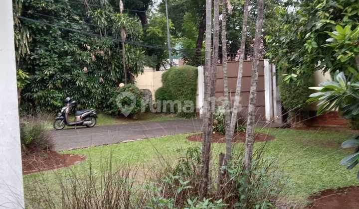 Rumah Tua Kemang Dalam Jakarta Selatan Harga Nego Rumah Tua Kemang Dalam Jakarta Selatan Harga Nego