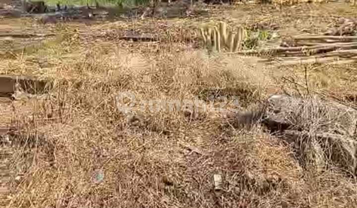 Cheap Land for Sale in Rorotan, North Jakarta