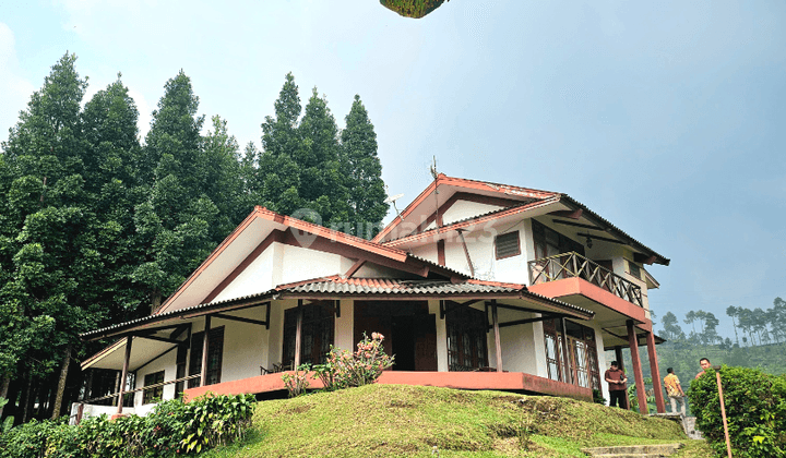 Villa Megamendung Bogor HGB Area Nyaman Sejuk 2