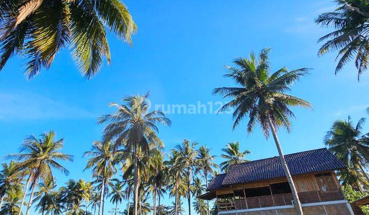 Tanah Pantai Indah Cikaso Beach Resort 1