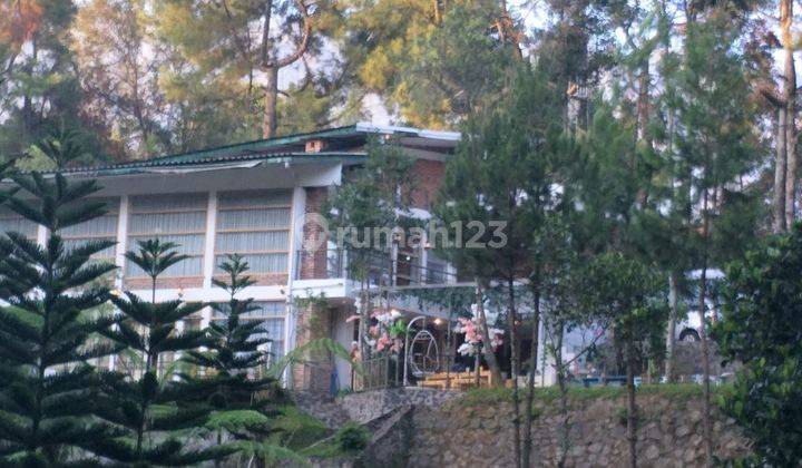 Villa Puncak Bogor Area Sangat Sejuk Fasilitas Lengkap Siap Pakai 2