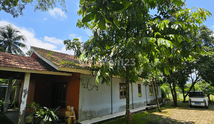 Rumah Dijual Dengan Tanah Sangat Luas di Bojong, Bogor 1