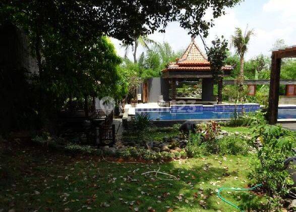 A Nice And Cozy House In Cilandak, Close To Highway Tb Simatupang 1