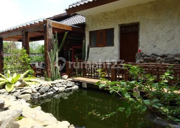 A Nice And Cozy House In Cilandak, Close To Highway Tb Simatupang