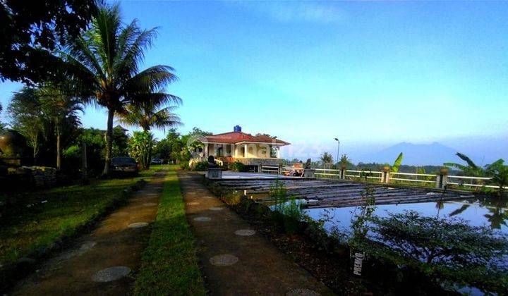 Villa dengan pemandangan yg indah, asri, tenang, nyaman 1