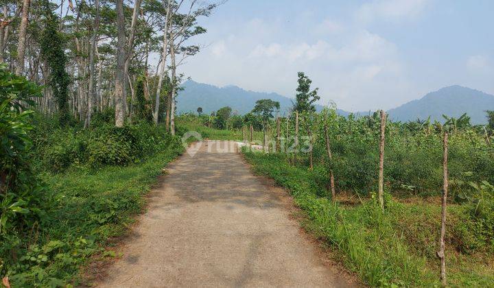 A Beautiful View, Land Area In Jonggol 2