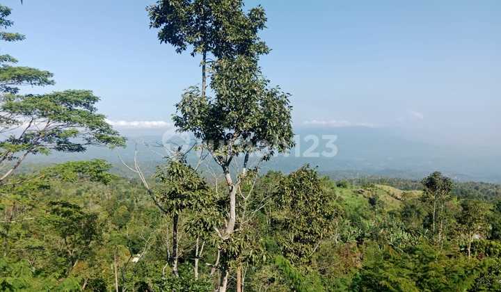Land with a Very Beautiful View, Unobstructed View of Mountains and Sea
