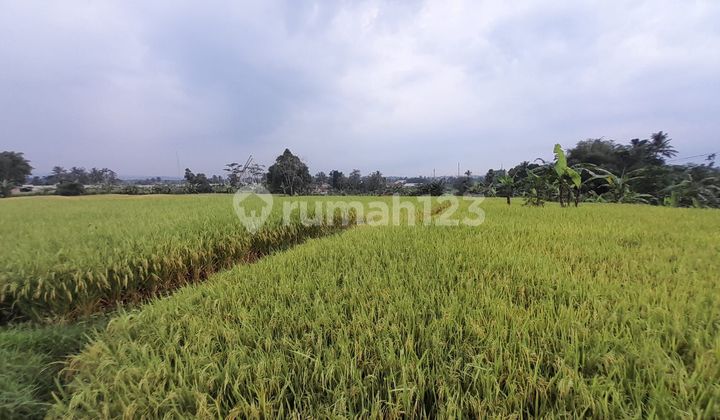 Beautiful Scenic Land Beautiful Scenic Land