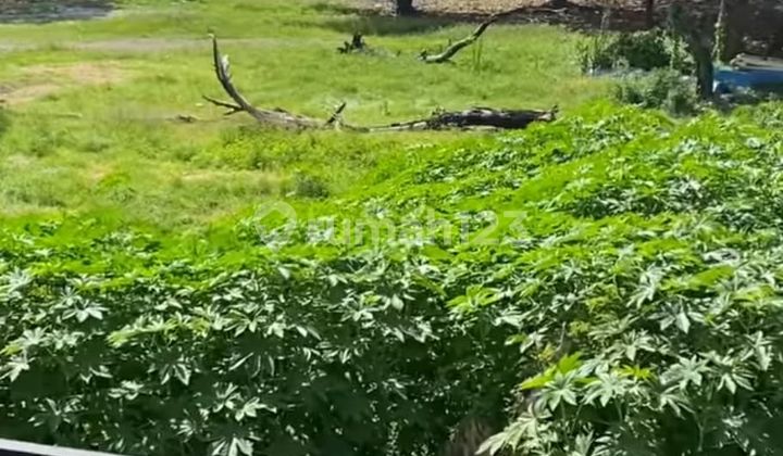 For Rent Villa 100 Meters From Sanur Bali Beach, No Pool