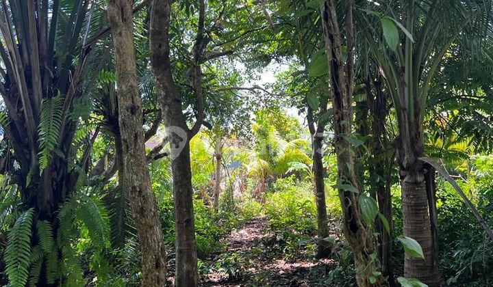 JUAL TANAH DEKAT PANTAI BALANGAN JIMBARAN KUTA SELATAN  5
