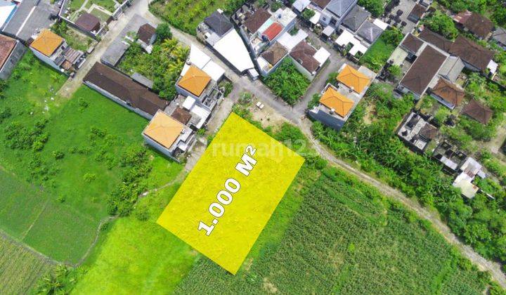 JUAL TANAH VIEW SAWAH LINGKUNGAN TENANG DSN SEPI DEKAT CANGGU  9