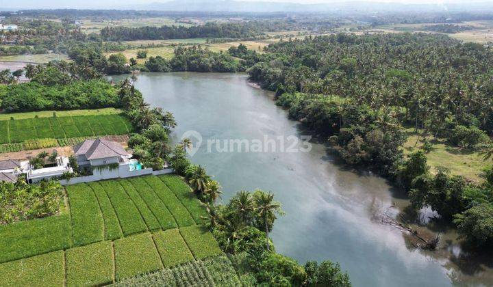 TANAH LOSS SUNGAI VIEW PANTAI PASUT & VIEW SAWAH TABANAN  1