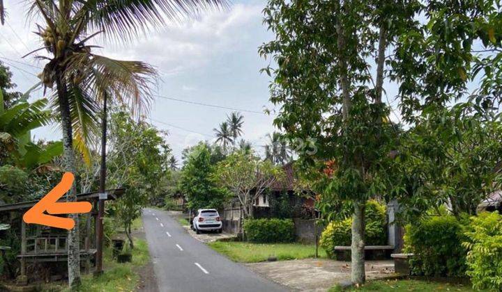 JUAL TANAH COCOK UNTUK VILLA DAN GUDANG TABANAN BALI  1