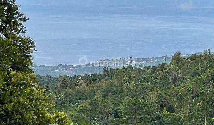 LAND VIEW SEA LOVINA BULELENG SINGARAJA BALI 1