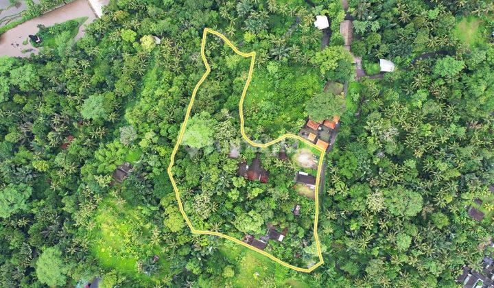 Jual Tanah Loss Sungai Ayung Bongkasa Ubud View Jungle 2