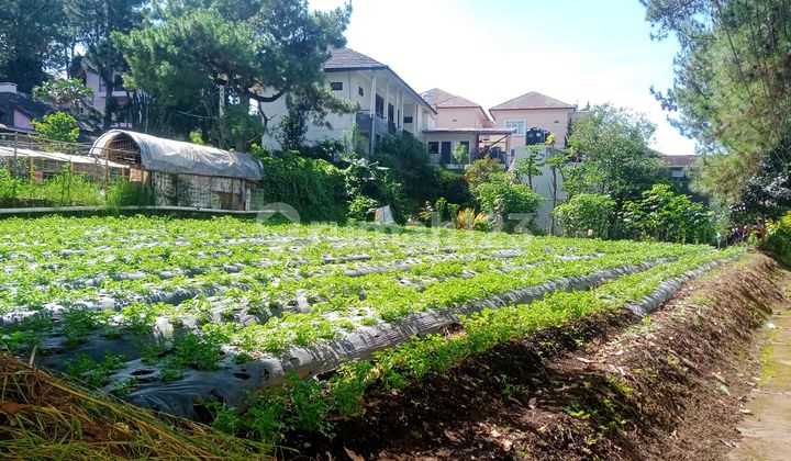 SHM Certified Ready-to-Build Land Plot in the Lembang Tourist Area