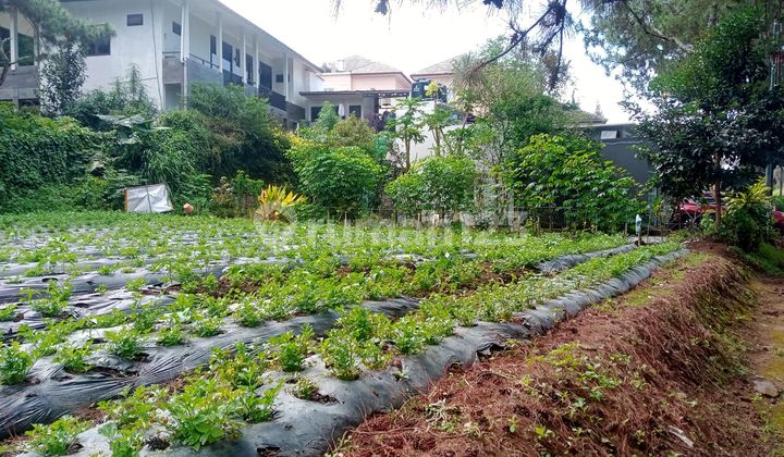 SHM Certified Ready-to-Build Land Plot in the Lembang Tourist Area