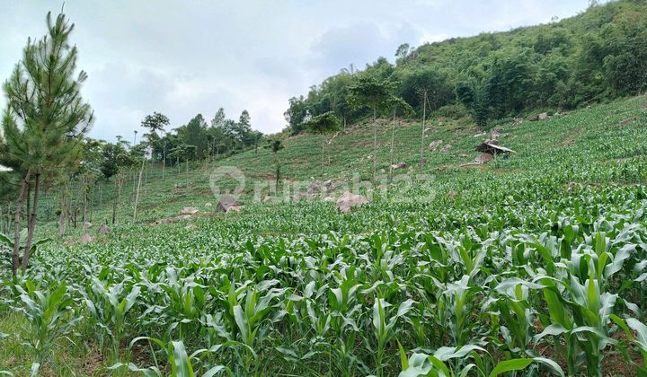 Tanah Pemandangan Kota Dekat Kotabaru Arjasari Bandung Tanah Pemandangan Kota Dekat Kotabaru Arjasari Bandung