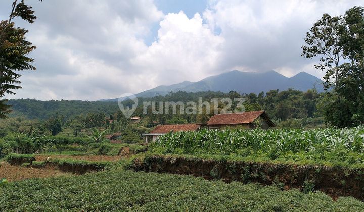 Dijual Cepat Tanah Shm Dekat Banjaran Kota Dan Wisata