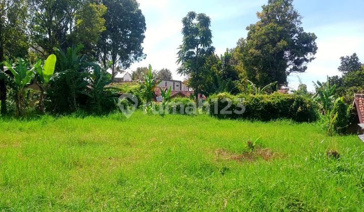Affordable Land Plots in Lembang Near Eco Pesantren Darut Tauhid Affordable Land Plots in Lembang Near Eco Pesantren Darut Tauhid