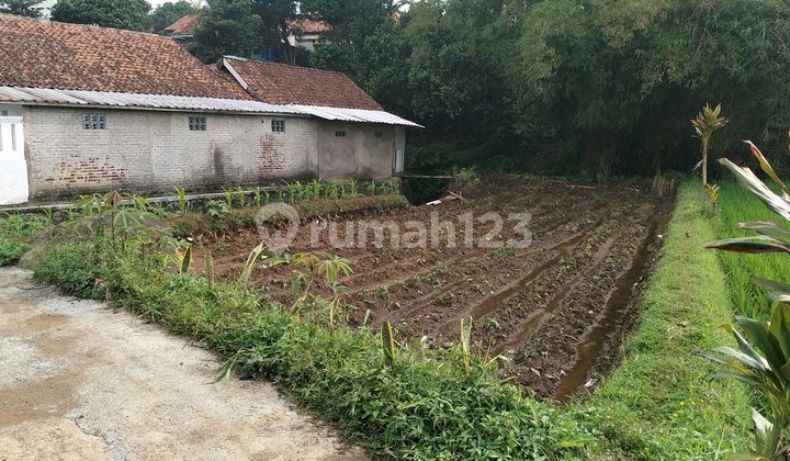 For Sale: Freehold Land, Roadside, Car Access, Good Water, Fish Pond For Sale: Freehold Land, Roadside, Car Access, Good Water, Fish Pond