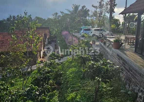 Di Jual Tanah Di Daerah Wisata Sanada Tabanan Bali 1
