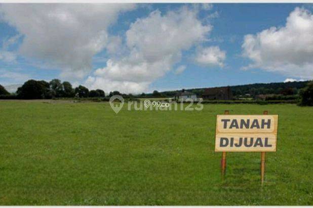 Tanah Daerah Kos Daerah Rungkut Mejoyo Selatan Dekat Ubaya Harga Bisa Nego