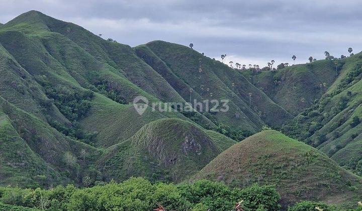 Tanah Di Labuan Bajo, View Laut Dan Gunung 1