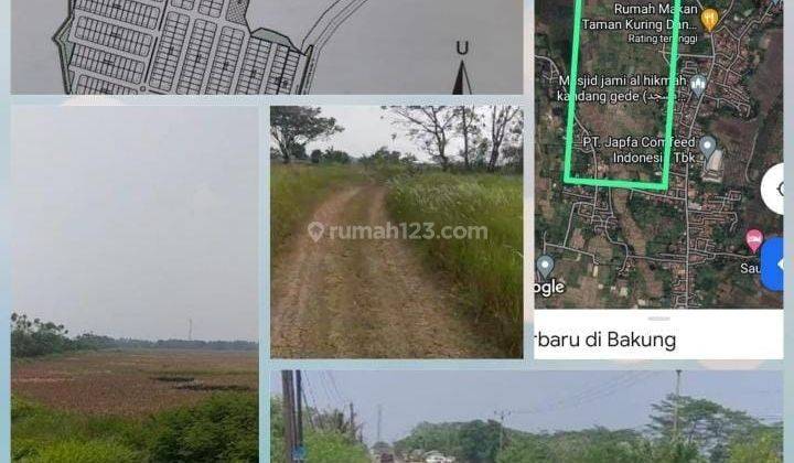 Tanah Murah Untuk Industri Jalan Raya Kronjo Balaraja Tangerang. 1