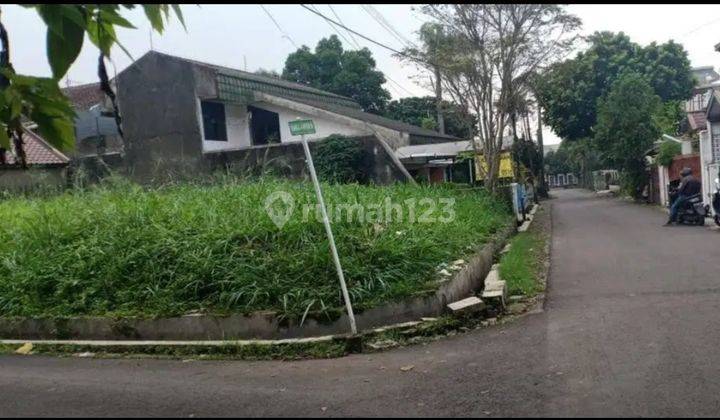 Tanah matang posisi hook siap bangun turangga 1
