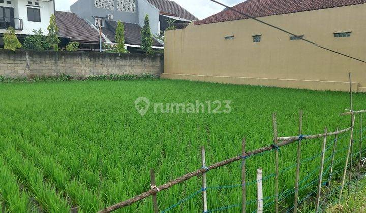 Tanah sawah cocok untuk 2 rumah buahbatu 4