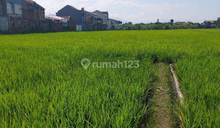 Tanah Sawah Cocok Buat Cluster Cimencrang Gedebage 1