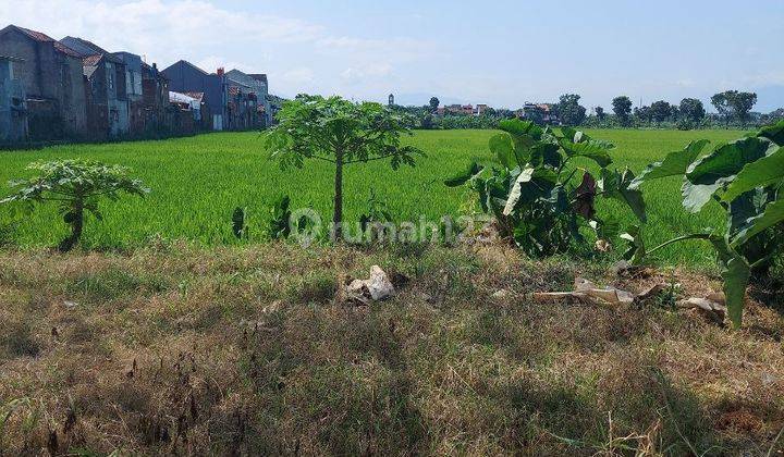 Tanah Sawah Cocok Buat Cluster Cimencrang Gedebage 2