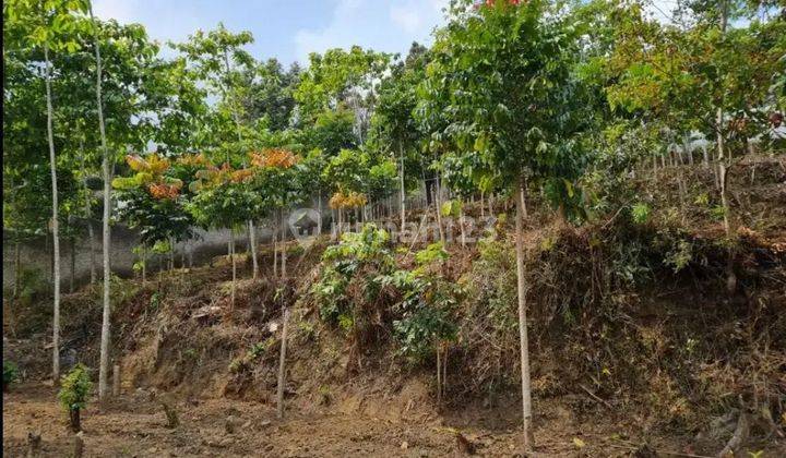 Tanah Matang Siap Bangun Kolonel Masturi Lembang 1