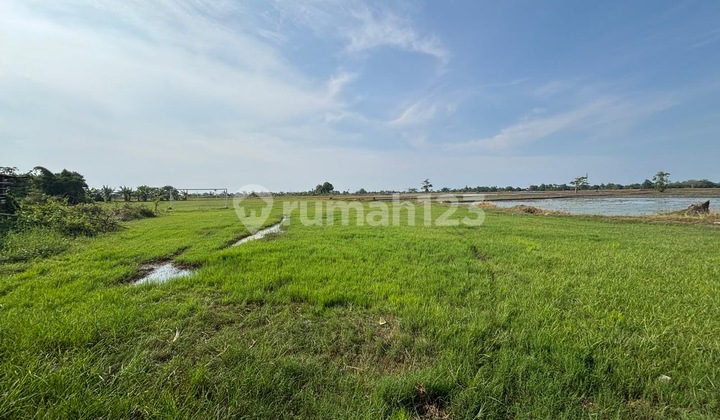 Jual Dijual Lahan Tanah Industri Mainroad Pantura , Subang dekat Toll Dijual