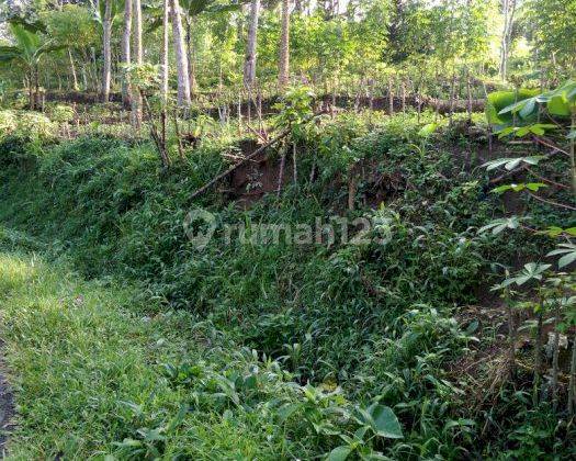 Dijual Tanah Satu Hamparan di Leuwiliang Kawalu Tasikmalaya 1