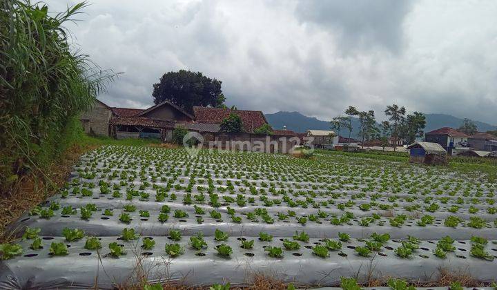 Tanah Murah di Lembang Cocok Untuk Perumahan 2