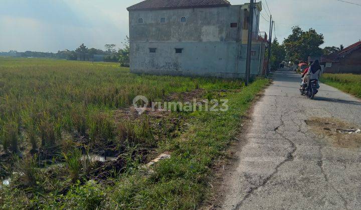 Tanah Murah di Solokan Jeruk Bojong Emas 10 Juta Pertumbak 2