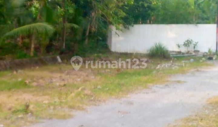 Tanah Kavling Murah Dekat Sekolah Kesatuan Bangsa Jogja
